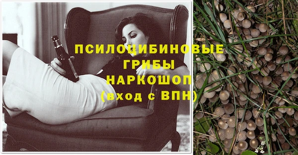 соль ск Кодинск
