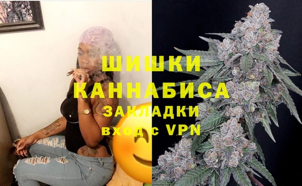 стафф Козельск
