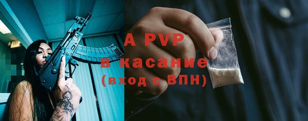 шишки Козловка