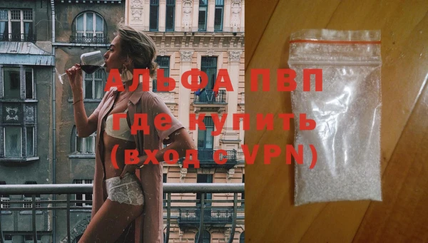 шишки Козловка