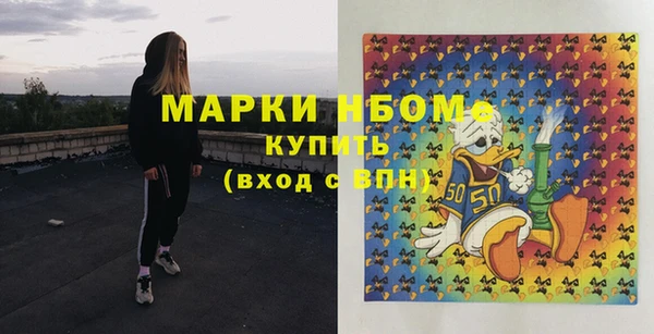 стафф Козельск