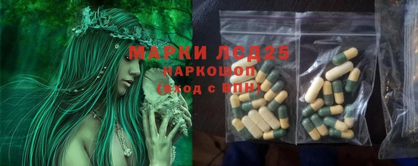 соль ск Кодинск