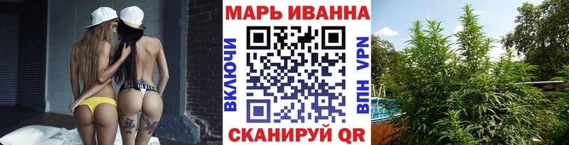 Марихуана сатива Видное